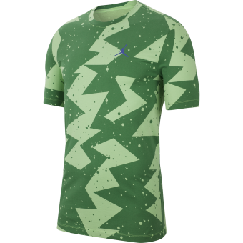 NIKE AIR JORDAN PRINTED POOLSIDE CREW TEE GREEN STRIKE